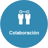CitiNavarra- Colaboración